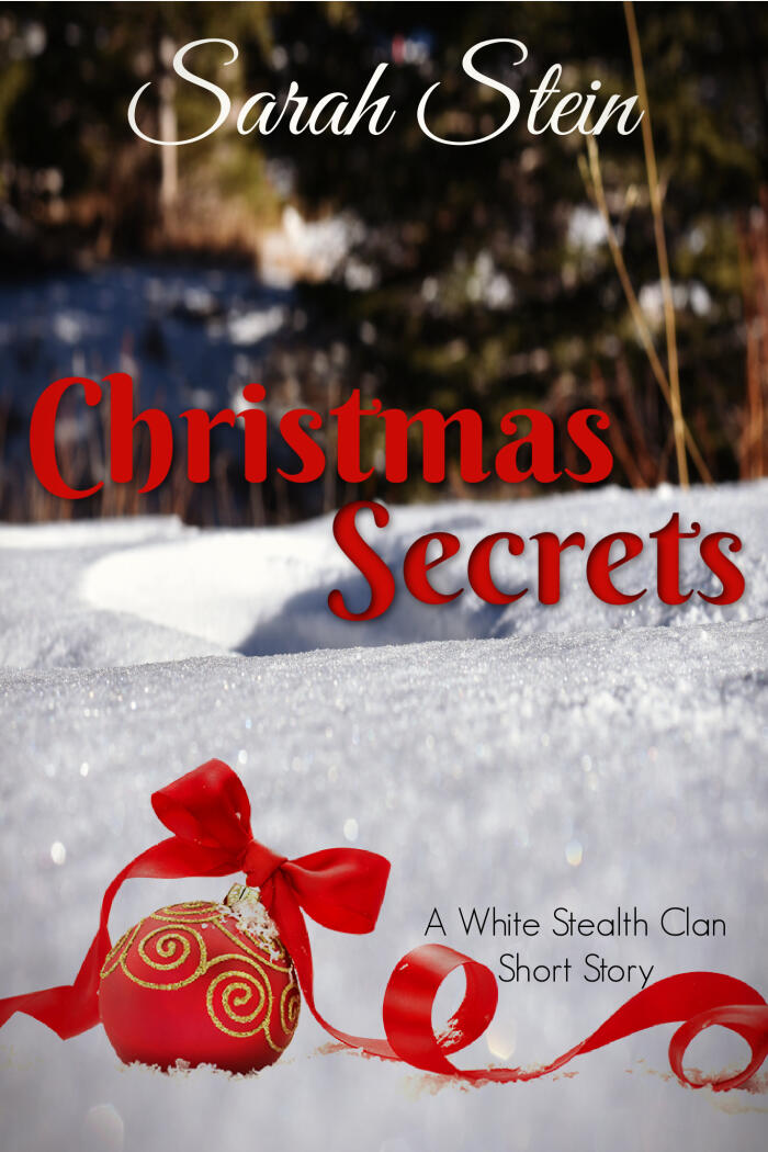 Christmas Secrets