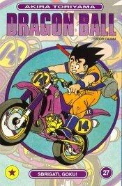 Dragon Ball, Vol. 27: Sbrigati, Goku!