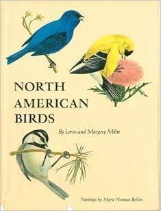 North American Birds