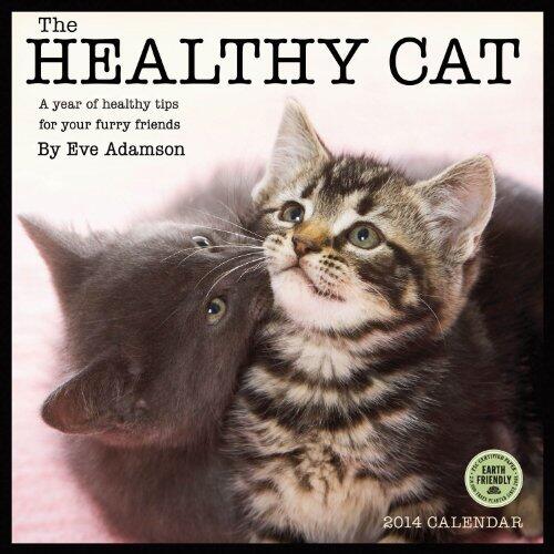 Healthy Cat 2014 Wall Calendar