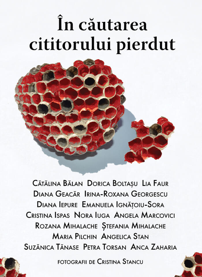 În Căutarea Cititorului Pierdut