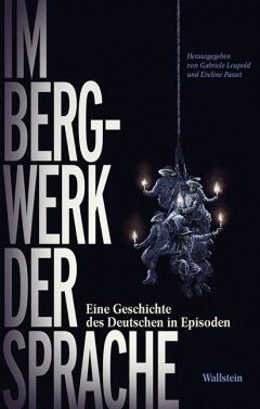 Im Bergwerk der Sprache. Eine Geschichte des Deutschen in Episoden