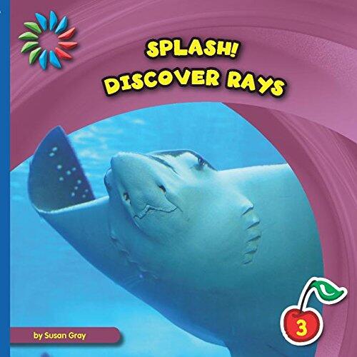 Splash! Discover Rays