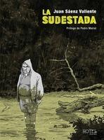 La sudestada