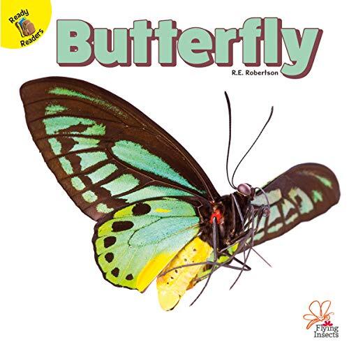 Flying Insects Butterfly, Grades PK - 1