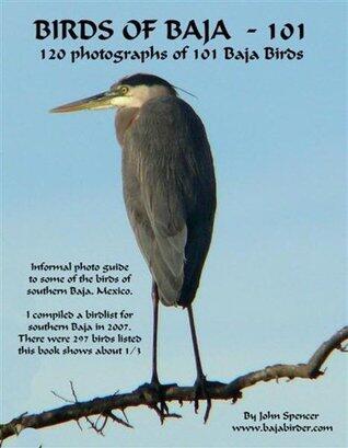 BAJA BIRDS 101