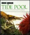 Tide Pool