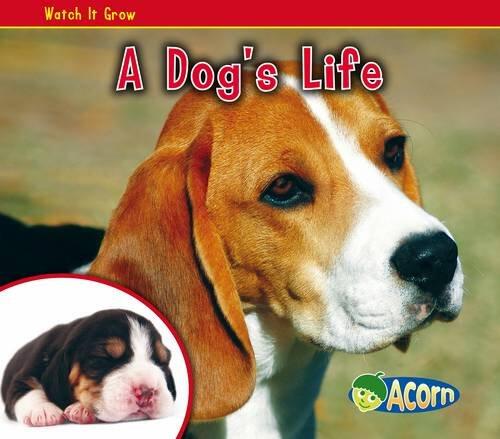 A Dogs Life