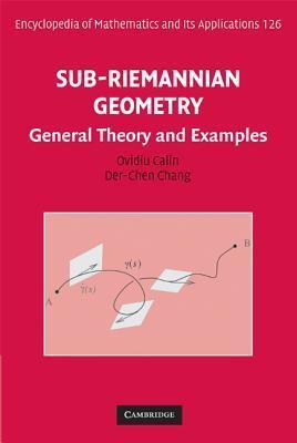 Sub-Riemannian Geometry: General Theory and Examples