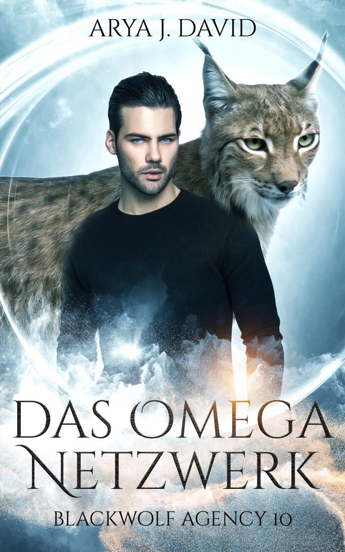 Das Omega-Netzwerk