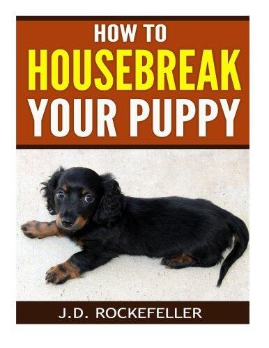 How to Housebreak Your Puppy