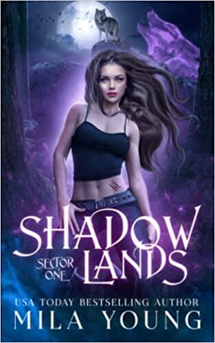 Shadowlands Sector, One