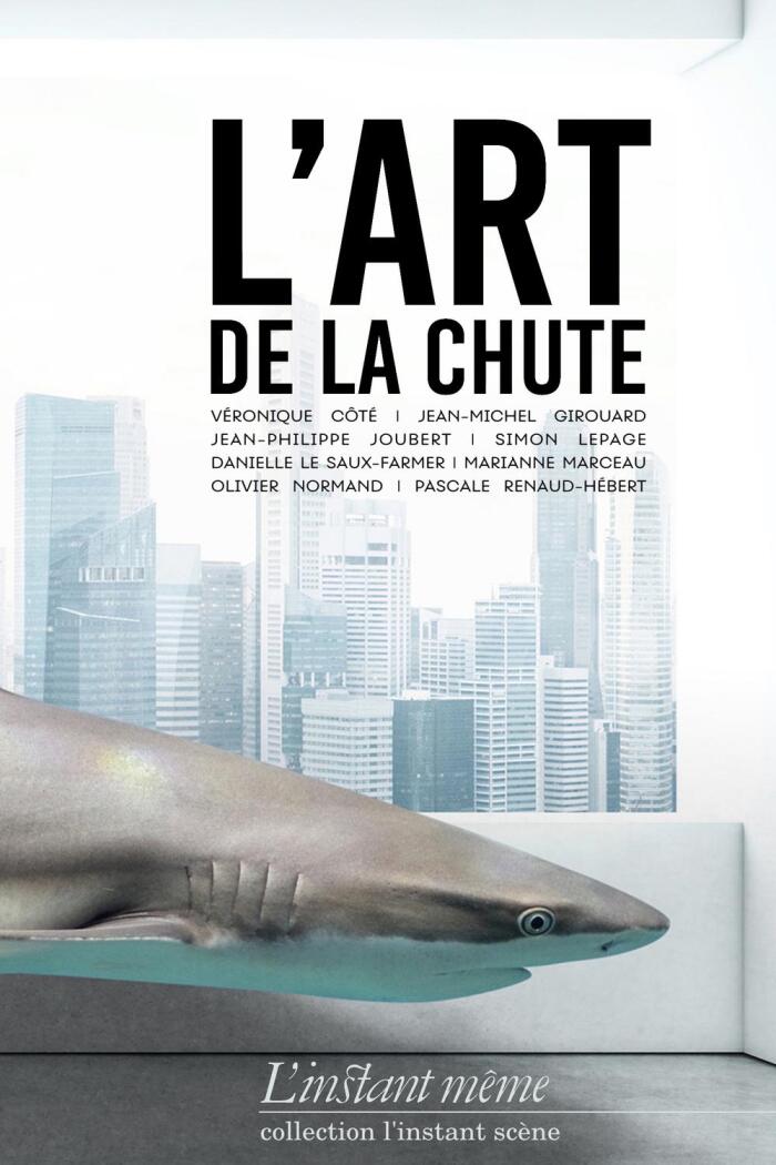 Art de la chute