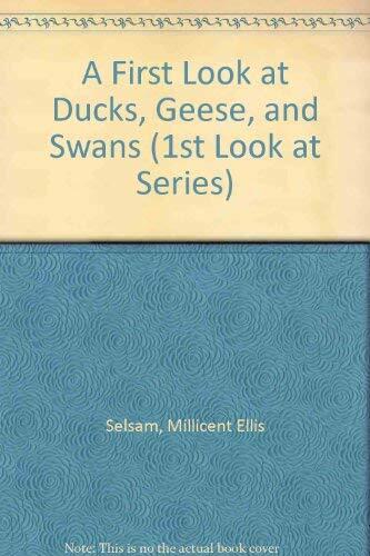 A First Look at Ducks, Geese, and Swans