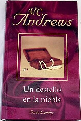 Un destello en la niebla