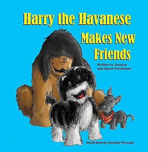 Harry the Havanese Makes New Friends