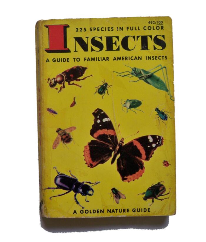 Insects
