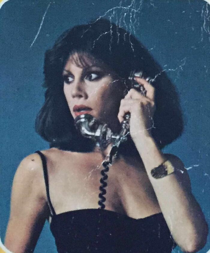 The Case of the Daring Decoy / The Case of the Demure Defendant