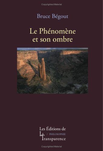 Après Husserl - le phénomène et son ombre
