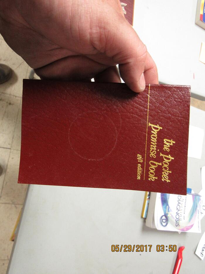 Promises to Live By...the Pocket Promise Book