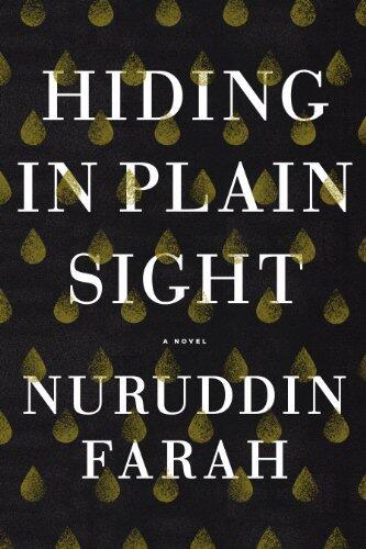 Hiding in Plain Sight