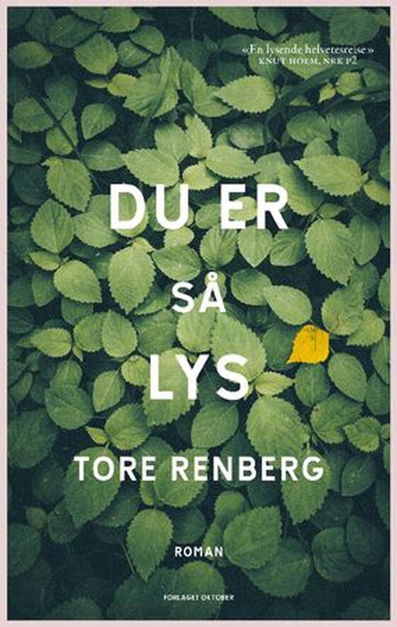 Du er så lys
        
        
          
            
            
            
          
          ebok
