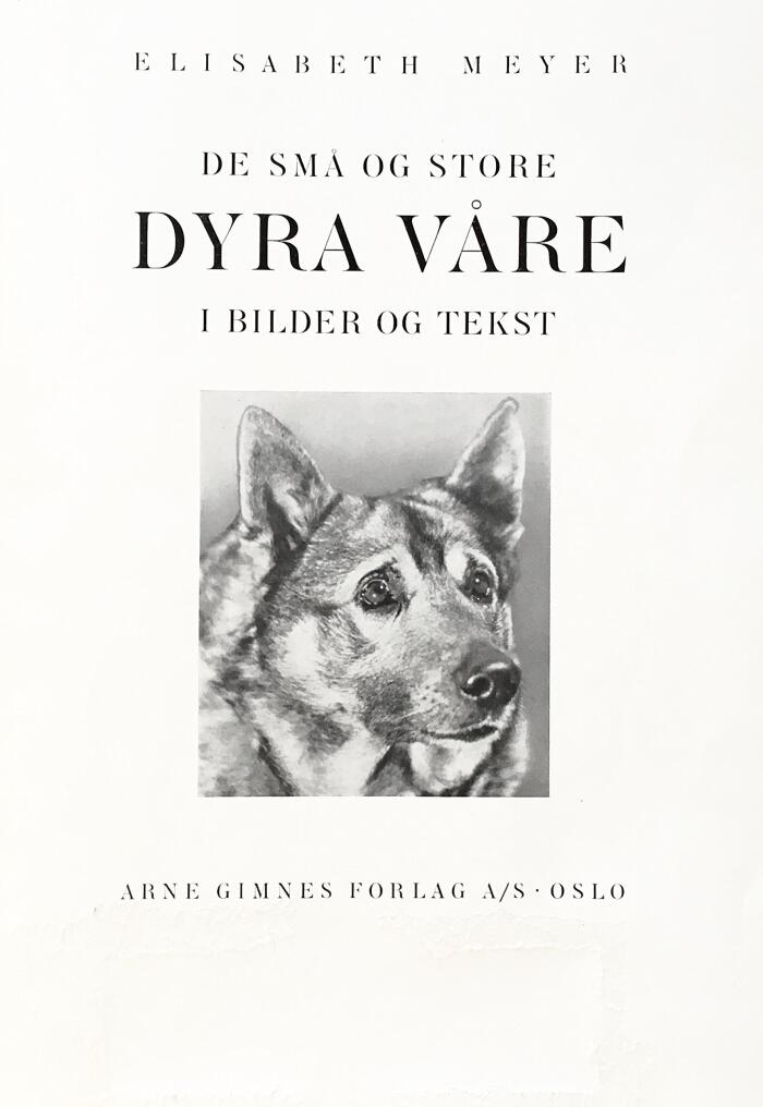 De Sma og Store Dyra Vare i Bilder og Tekst