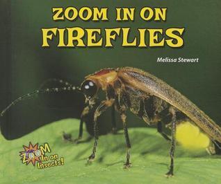 Zoom in on Fireflies