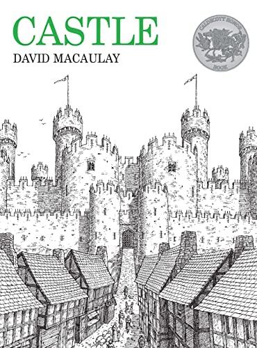 Castle (A Caldecott Honor Award Winner)