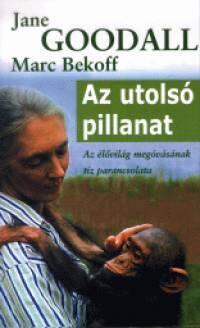 Az utolsó pillanat