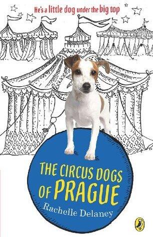 Circus Dogs of Prague