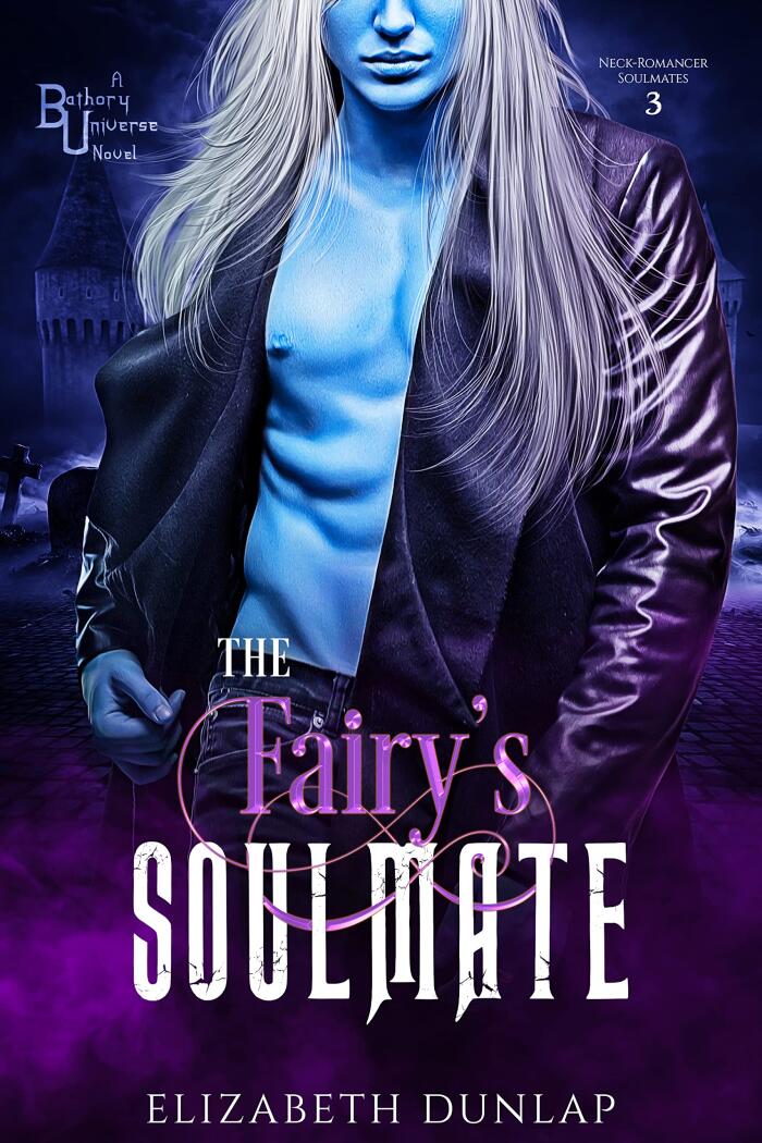 The Fairy's Soulmate
