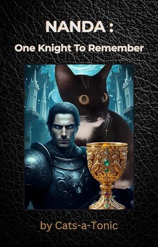 Nanda: One Knight To Remember