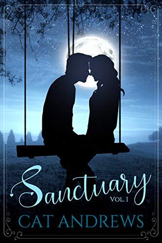 Sanctuary (A Modern Pride and Prejudice Variation) (Volume 1)