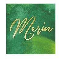 M. Merin