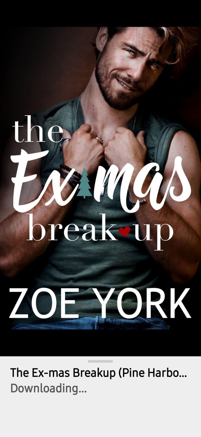The Ex-Mas Breakup (Pine Harbour Little Tree Farm Book 1)