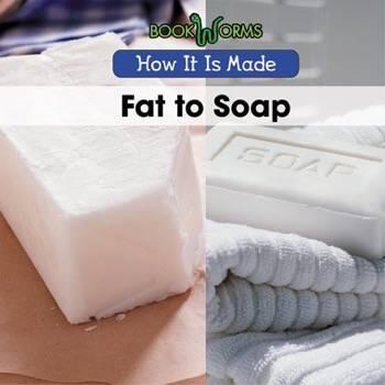 Fat to Soap (2)