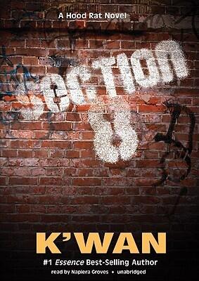 Section 8
