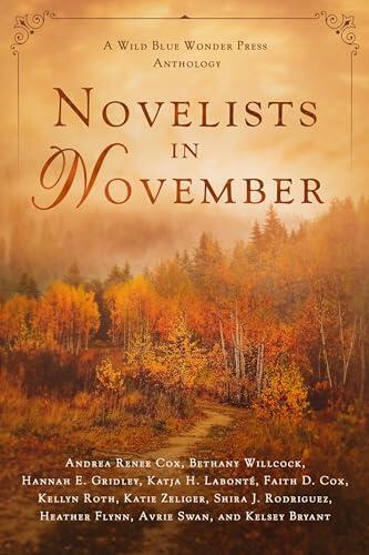 Novelists in November: A Wild Blue Wonder Press Anthology