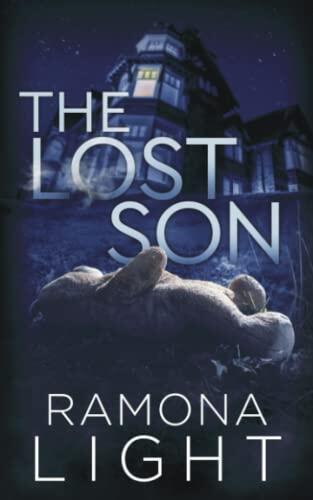 The Lost Son: A Mystery Thriller