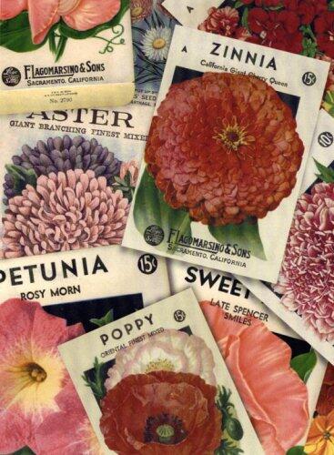 Seedlings Wire-O Journal