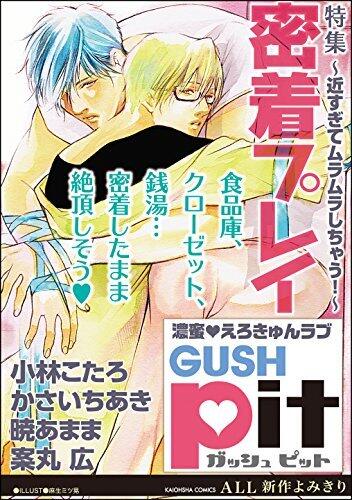 GUSHpit　密着プレイ～近すぎてムラムラしちゃう！～ (GUSH COMICS)