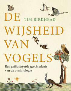 De wijsheid van vogels