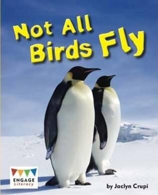 Not All Birds Fly 6pk