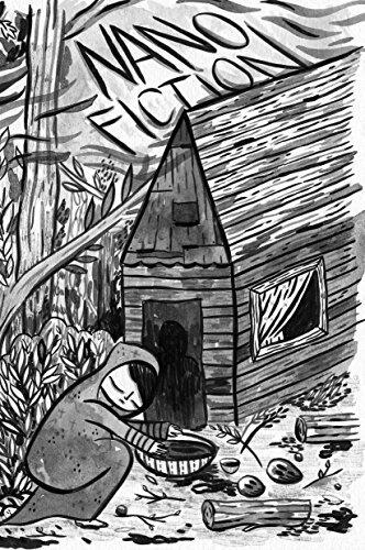 NANO Fiction Volume 6 Number 2