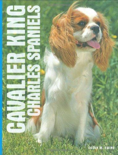 Cavalier King Charles Spaniels