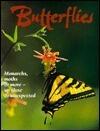 A Shimmer of Butterflies