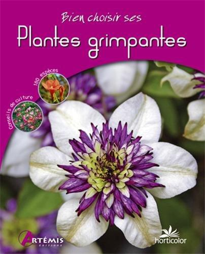 plantes grimpantes