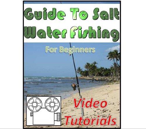 Guide To Salt Water Fishing