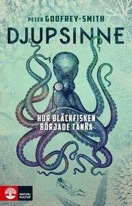 Djupsinne: hur bläckfisken började tänka